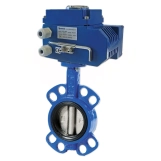 Засувка Brandoni J9.100  DN65 + електропривід  AOX 005 (J9.100065E16C)