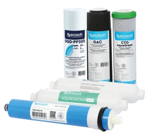 Комплект картриджів Ecosoft PURE AquaCalcium Mint "12 місяців" (CHV6PUREMAC)
