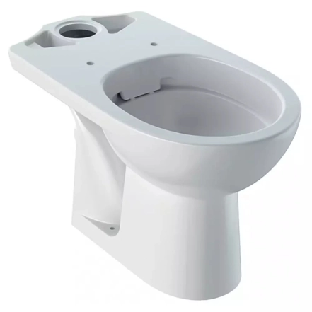Унітаз підлоговий Geberit Selnova Comfort, для осіб з обмеженими можливостями, Rimfree (500.486.01.7)