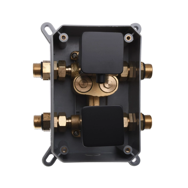 Душова система Globus Lux GLM-405-BB-TT-SMART Фото - 4