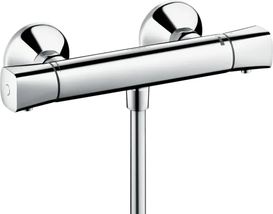 Термостат для душа с подключением шланга Hansgrohe Ecostat Universal