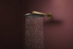 Верхний душ Hansgrohe Raindance Alive S, 2 режима, с держателем, шлифованная бронза Фото - 1