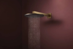 Верхний душ Hansgrohe Raindance Alive S, 2 режима, с держателем, шлифованная бронза Фото - 2
