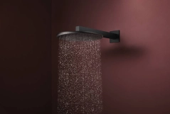 Верхний душ Hansgrohe Raindance Alive S 300мм, 2 режима, с держателем, черный матовый Фото - 1