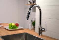 Змішувач для кухні Hansgrohe FOCUS, одноважiльний Фото - 2