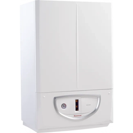 Котел газовий Immergas Avio Eco 24