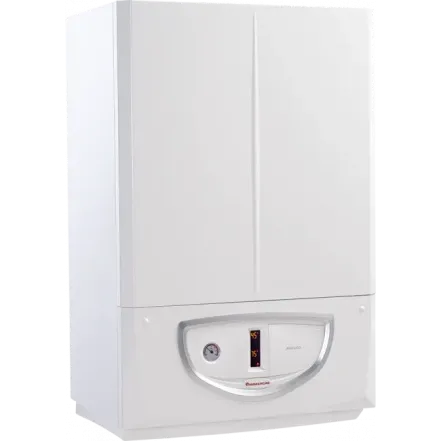 Котел газовый Immergas Avio Eco 24