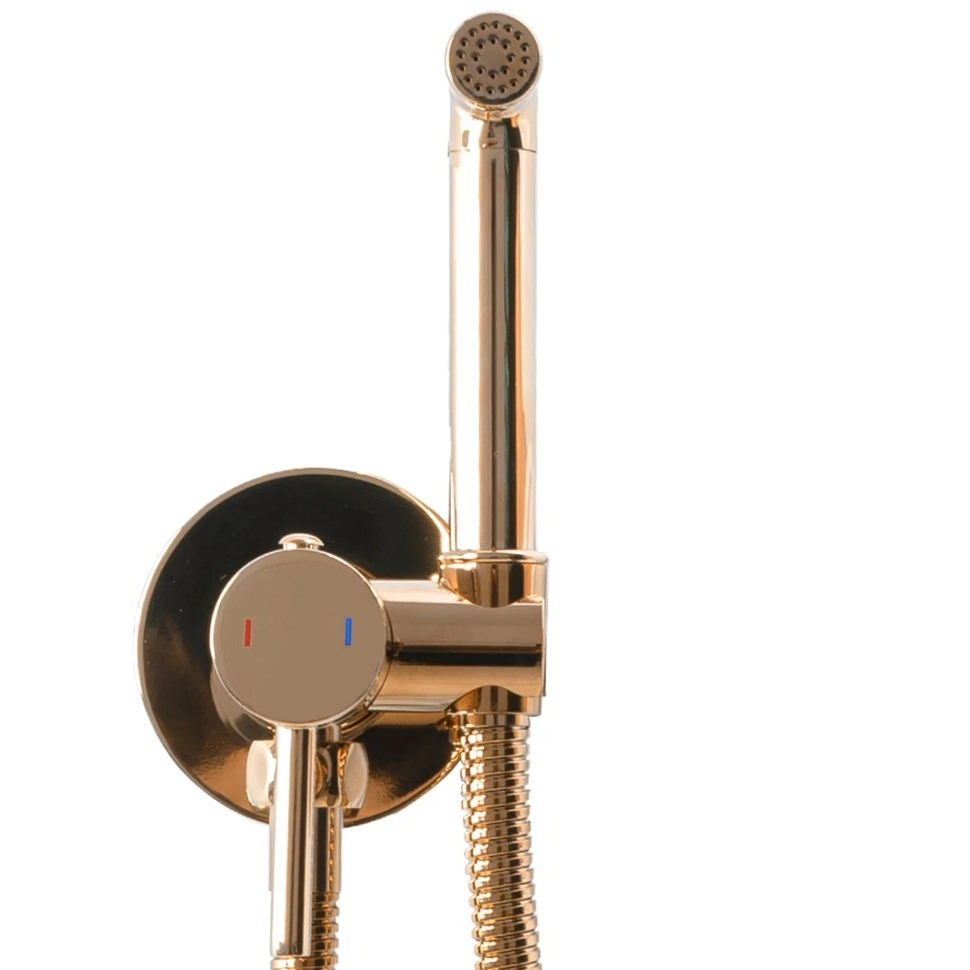 Гигиенический набор Rea Loop rose gold (REA-B6523) Фото - 2
