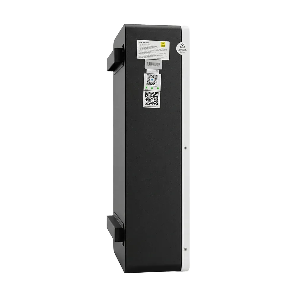 Акумуляторна батарея Sako Li-Sun series SK 51.2V 100Ah (42-00177) Фото - 8