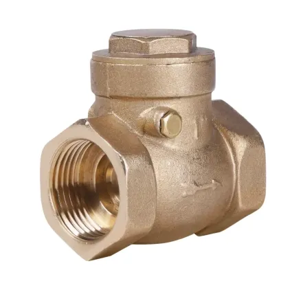 Зворотний клапан SD Plus 1" SD242W25