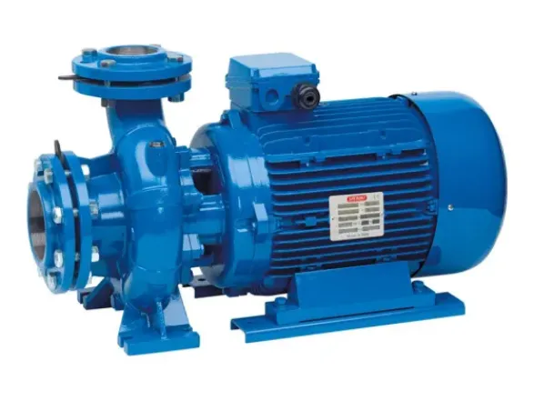 Насос Speroni CS80-160 B KW 18,5