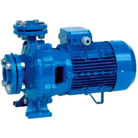 Центробежный поверхностный насос Speroni CS32-160B KW 2,2