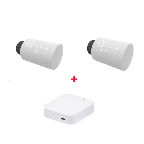 Комплект Tervix Pro Line EVA2 (2 шт.) + контролер Tervix ZigBee Gateway (2287312)