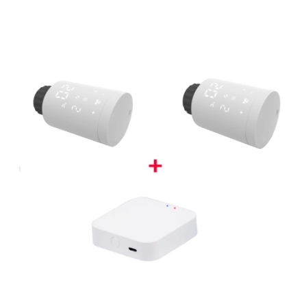 Комплект Tervix Pro Line EVA2 (2 шт.) + контроллер Tervix ZigBee Gateway (2287312)