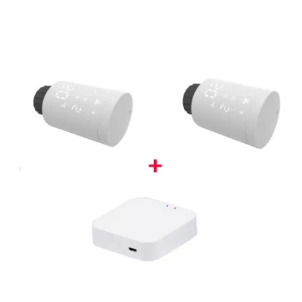 Комплект Tervix Pro Line EVA2 (2 шт.) + контроллер Tervix ZigBee Gateway (2287312)