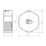 Заглушка Thermo Alliance Forte 3/4" ВР SF35220 Фото - 1