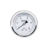 Манометр гліцериновий Thermo Alliancе Forte d63мм, 1/4"З із заднім підключенням (латун.) 0-10бар TAF171G10B