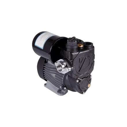 Насосная станция Thermo Alliance PZB750A 0,75 кВт