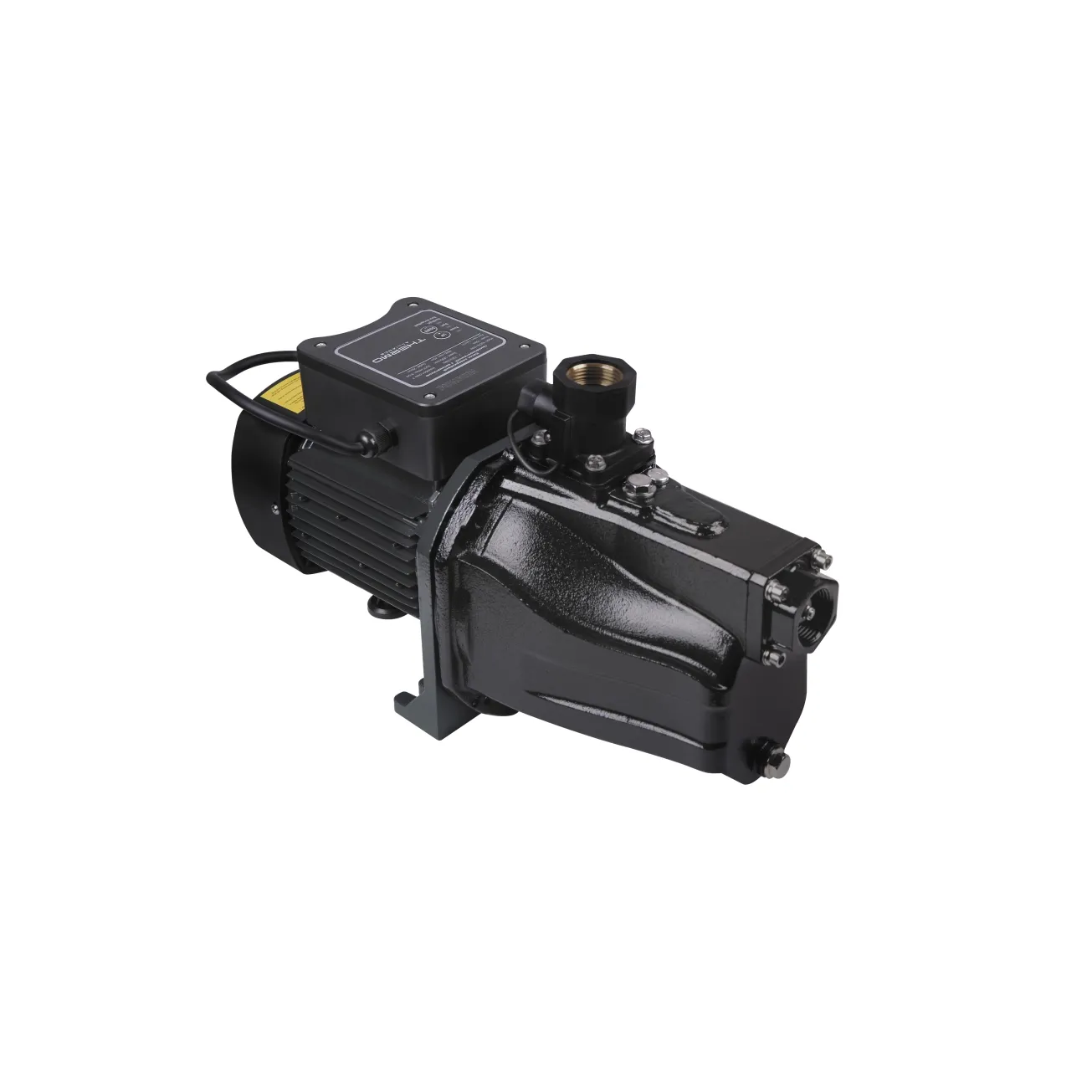 Насос поверхностный самовсасывающий Thermo Alliance SJET-100N 0,75 кВт 