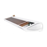 Воздушная завеса WING II W150 ЕС с водяным нагревателем AIR.CTRN.SET Фото - 1